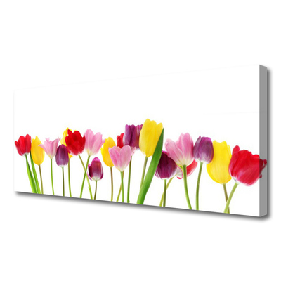 Canvas Kunstdruck Tulpen Pflanzen