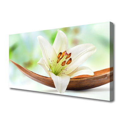 Canvas Kunstdruck Blume Pflanzen