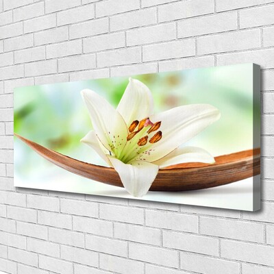 Canvas Kunstdruck Blume Pflanzen