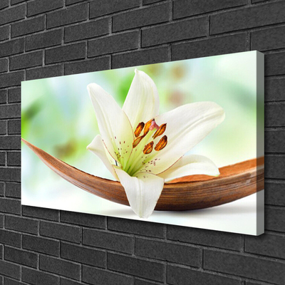 Canvas Kunstdruck Blume Pflanzen