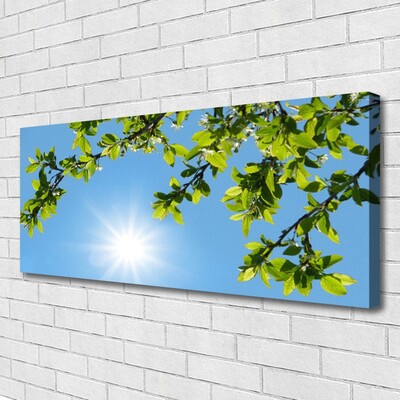 Canvas Kunstdruck Sonne Natur