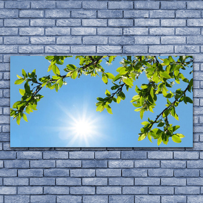 Canvas Kunstdruck Sonne Natur