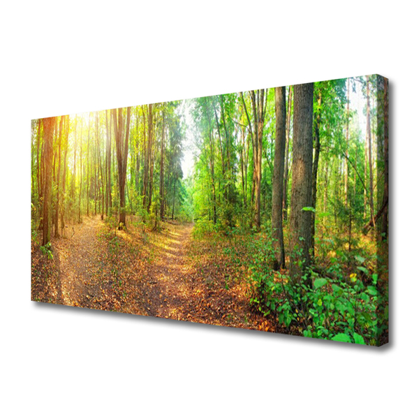 Canvas Kunstdruck Wald Natur