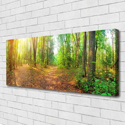 Canvas Kunstdruck Wald Natur