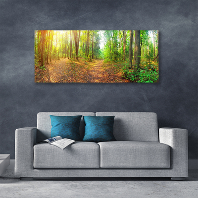 Canvas Kunstdruck Wald Natur