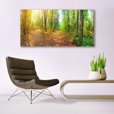 Canvas Kunstdruck Wald Natur