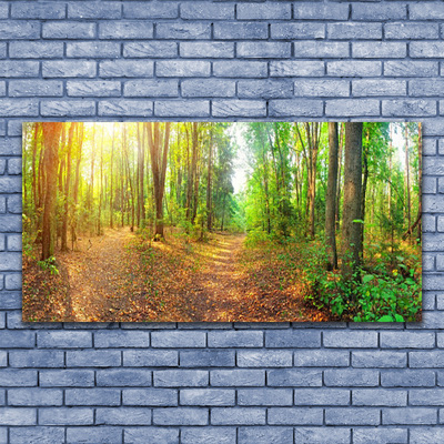 Canvas Kunstdruck Wald Natur