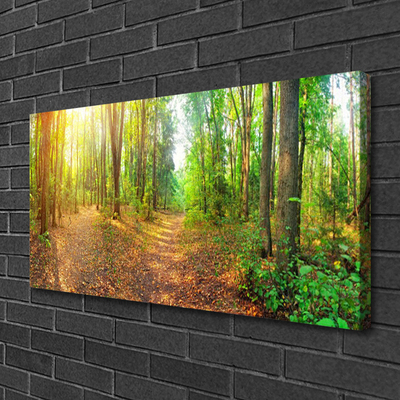 Canvas Kunstdruck Wald Natur