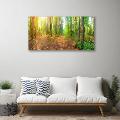 Canvas Kunstdruck Wald Natur