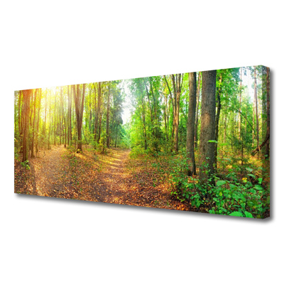 Canvas Kunstdruck Wald Natur