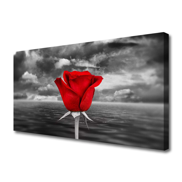 Canvas Kunstdruck Rose Pflanzen