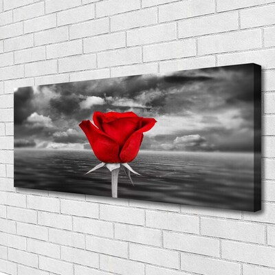 Canvas Kunstdruck Rose Pflanzen