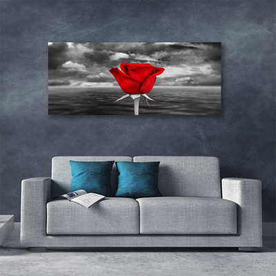 Canvas Kunstdruck Rose Pflanzen