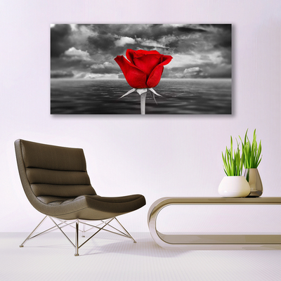 Canvas Kunstdruck Rose Pflanzen