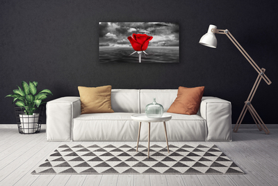 Canvas Kunstdruck Rose Pflanzen
