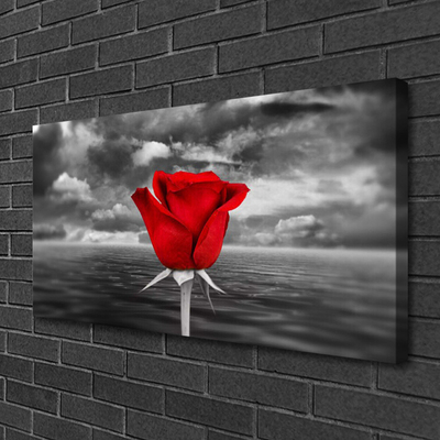 Canvas Kunstdruck Rose Pflanzen
