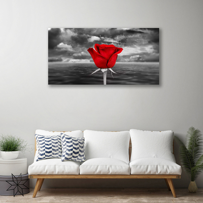 Canvas Kunstdruck Rose Pflanzen