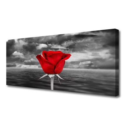 Canvas Kunstdruck Rose Pflanzen