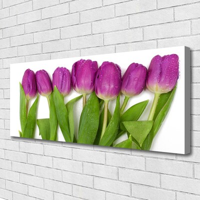 Canvas Kunstdruck Tulpen Pflanzen