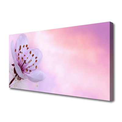 Canvas Kunstdruck Blume Pflanzen