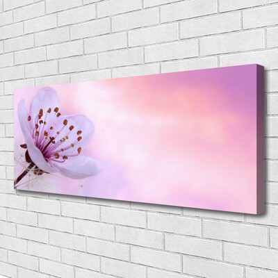 Canvas Kunstdruck Blume Pflanzen