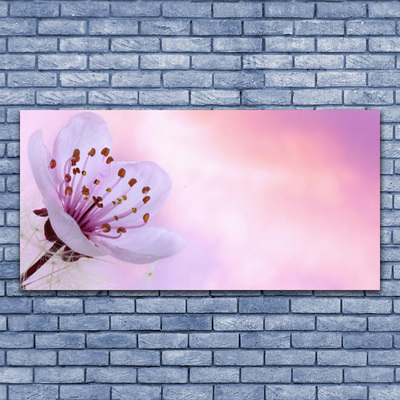 Canvas Kunstdruck Blume Pflanzen