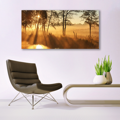 Canvas Kunstdruck Bäume Natur