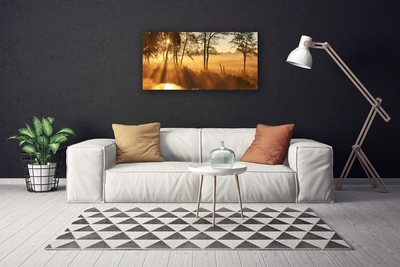 Canvas Kunstdruck Bäume Natur