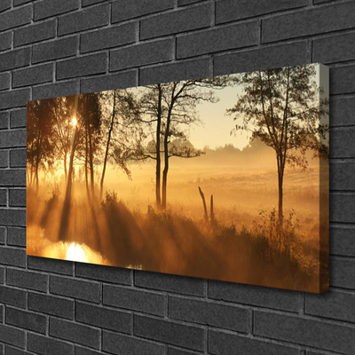 Canvas Kunstdruck Bäume Natur