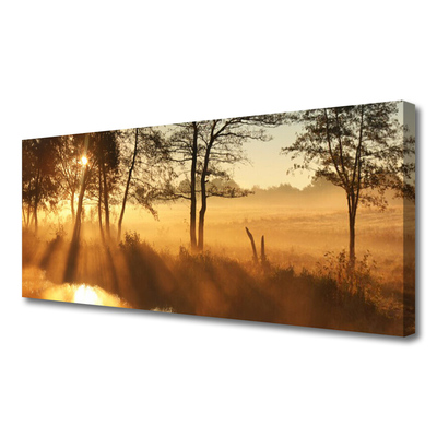 Canvas Kunstdruck Bäume Natur