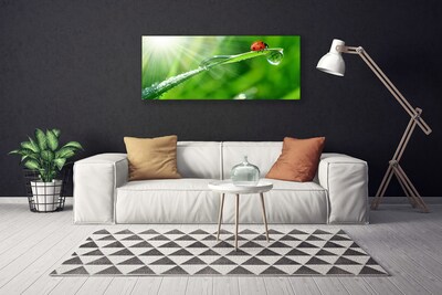 Canvas Kunstdruck Gras Sonne Marienkäfer Natur
