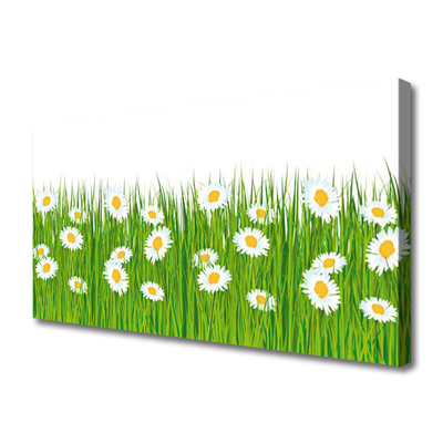 Canvas Kunstdruck Gras Gänseblümchen Natur