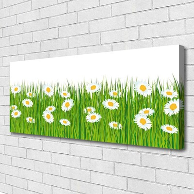 Canvas Kunstdruck Gras Gänseblümchen Natur