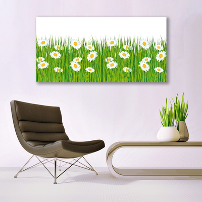 Canvas Kunstdruck Gras Gänseblümchen Natur