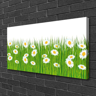 Canvas Kunstdruck Gras Gänseblümchen Natur