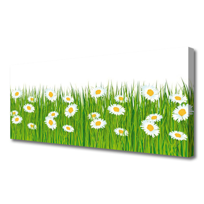 Canvas Kunstdruck Gras Gänseblümchen Natur