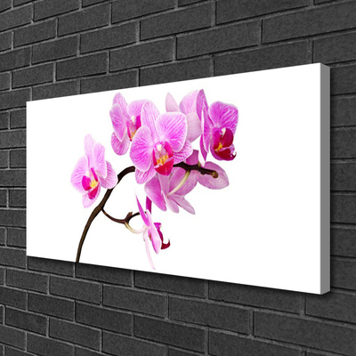 Canvas Kunstdruck Blumen Pflanzen