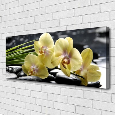 Canvas Kunstdruck Blumen Pflanzen