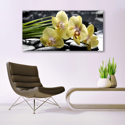 Canvas Kunstdruck Blumen Pflanzen