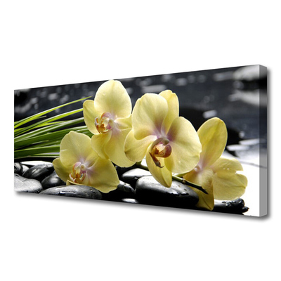 Canvas Kunstdruck Blumen Pflanzen