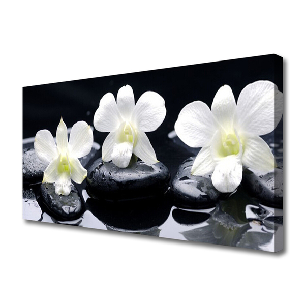 Canvas Kunstdruck Blumen Steine Pflanzen