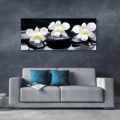 Canvas Kunstdruck Blumen Steine Pflanzen