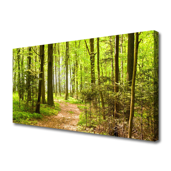 Canvas Kunstdruck Wald Natur