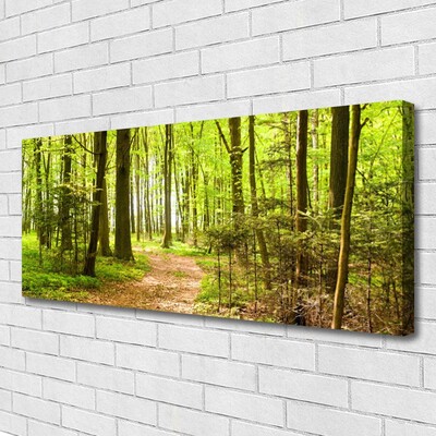 Canvas Kunstdruck Wald Natur