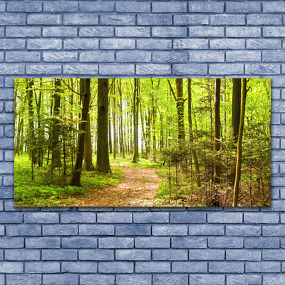 Canvas Kunstdruck Wald Natur