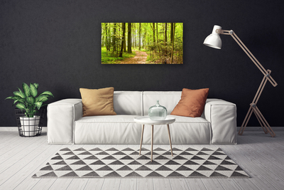 Canvas Kunstdruck Wald Natur