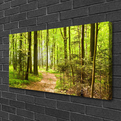 Canvas Kunstdruck Wald Natur