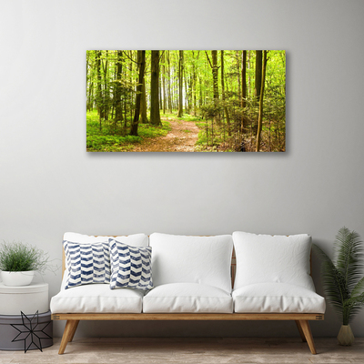 Canvas Kunstdruck Wald Natur