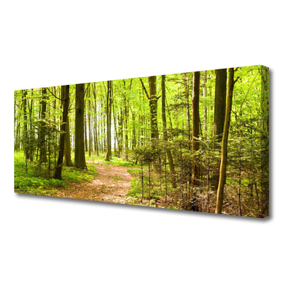 Canvas Kunstdruck Wald Natur