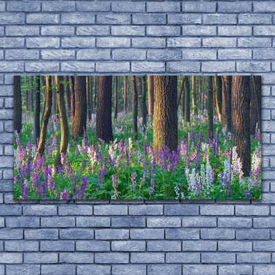 Canvas Kunstdruck Wald Natur